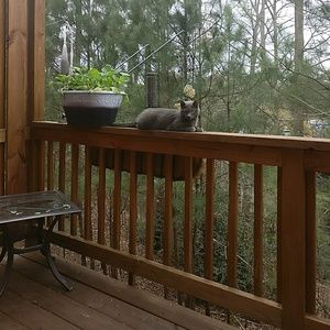 Meet your Posher, Martin